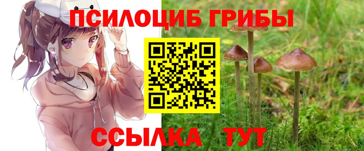 Галлюциногенные грибы мицелий  Псилоцибиновые грибы Psilocybine cubensis  Тольятти  как найти закладки  Вход с VPN 